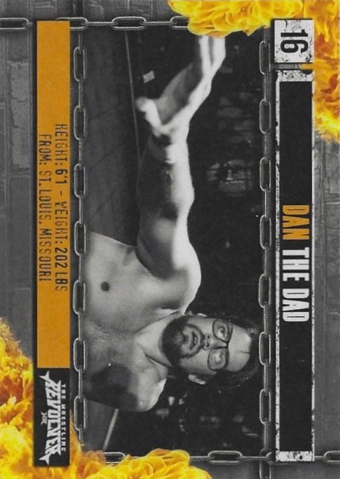 DAN the Dad trading card PW Catalog