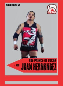 The Prince of Lucha Juan Hernandez trading card PW Catalog