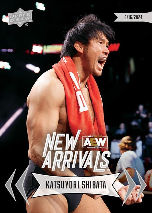 Katsuyori Shibata