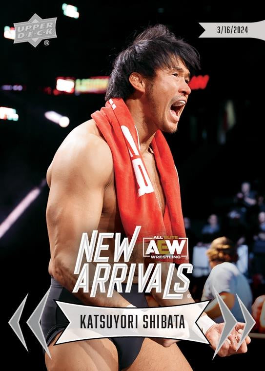 Katsuyori Shibata