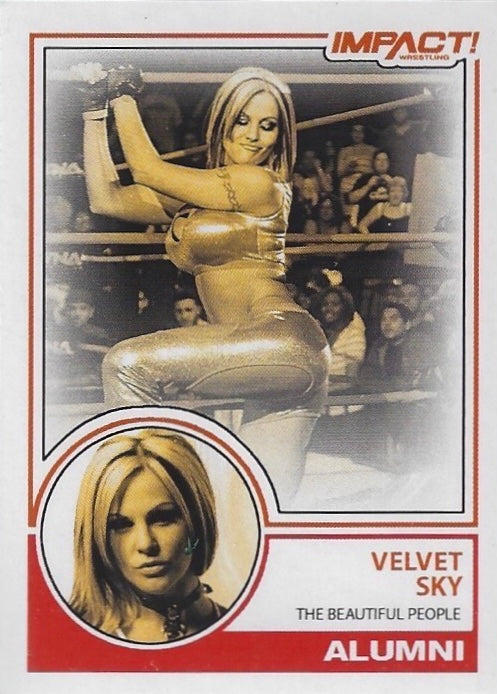 Velvet SKY “the Beautiful People”