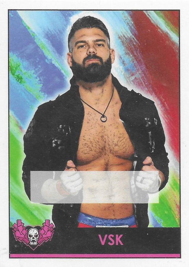 VSK trading card PW Catalog