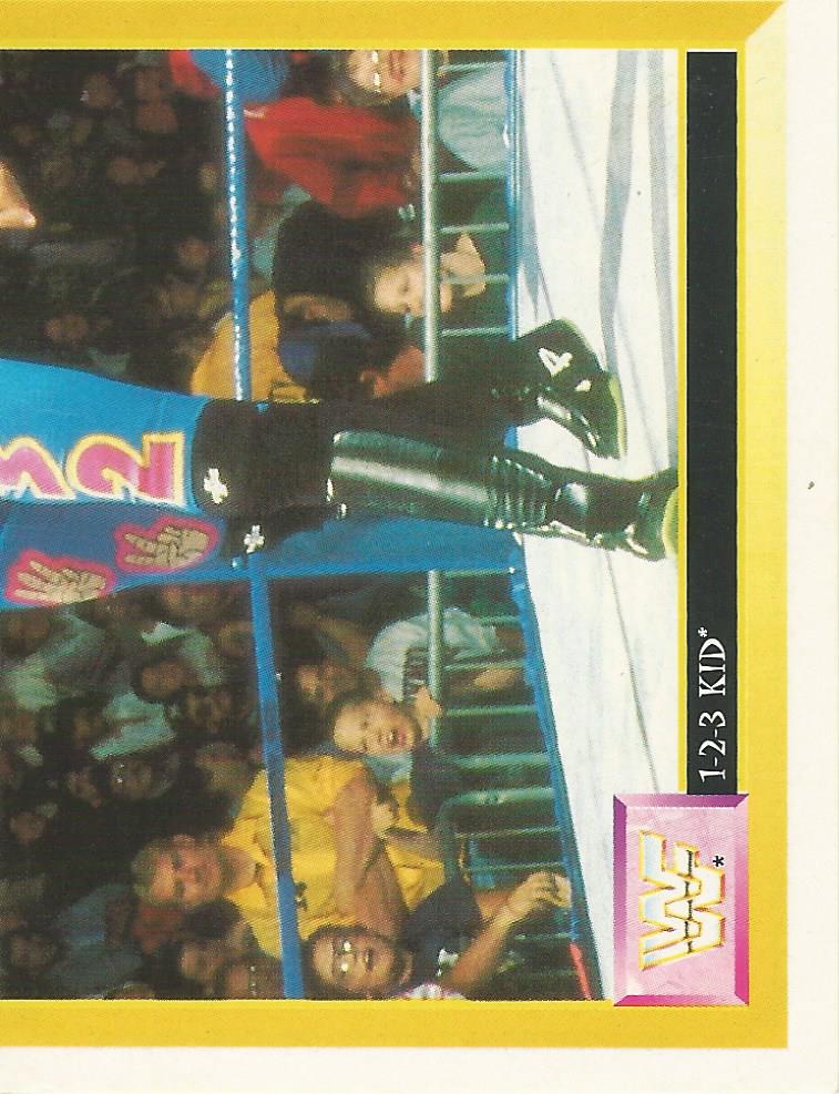 WWF Merlin Sticker 1994 123 Kid #160
