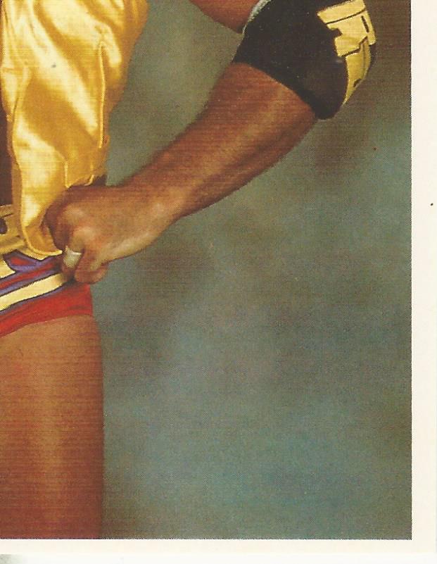 WWF Merlin Stickers 1992 Razor Ramon #160