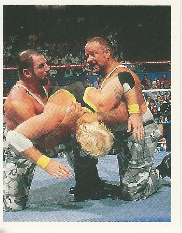 WWF Merlin Stickers 1991 Bushwhackers #161