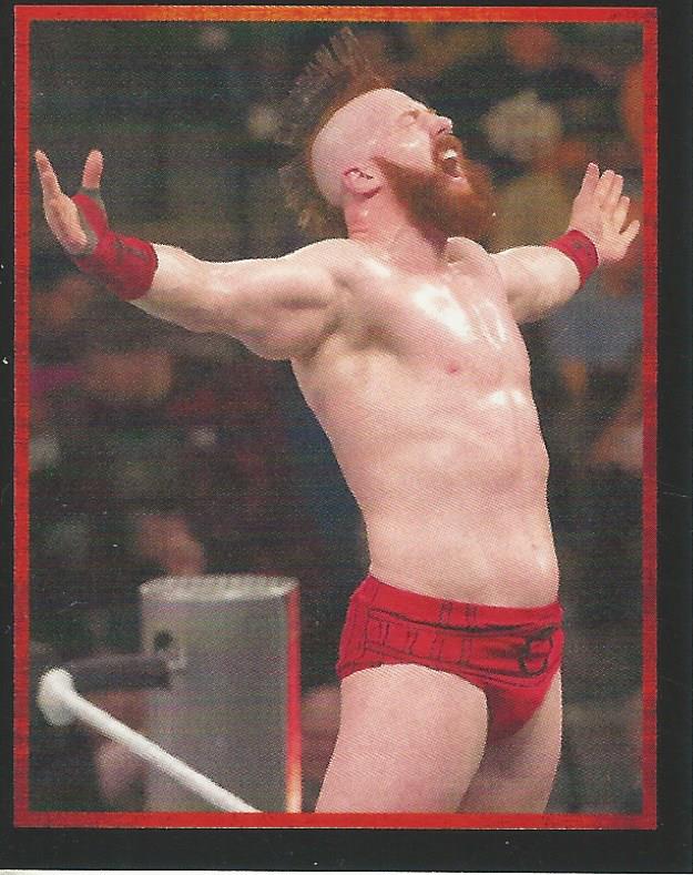 WWE Topps Stickers 2017 Sheamus #162
