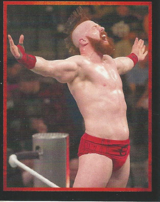 WWE Topps Stickers 2017 Sheamus #162