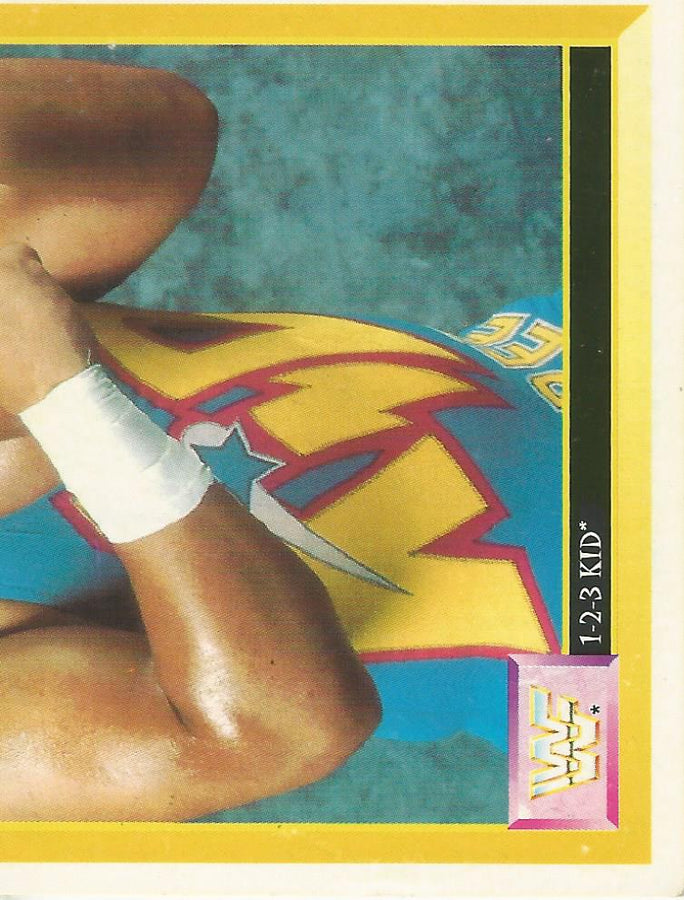 WWF Merlin Sticker 1994 123 Kid #162