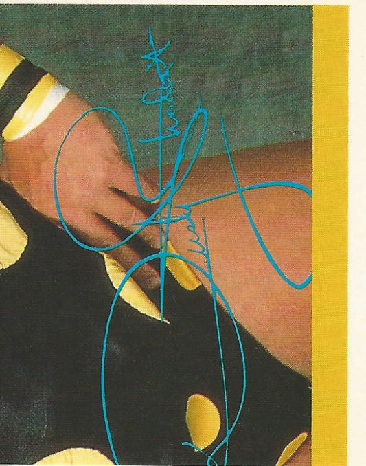 WWF Merlin Sticker Collection 1990 Dusty Rhodes #162