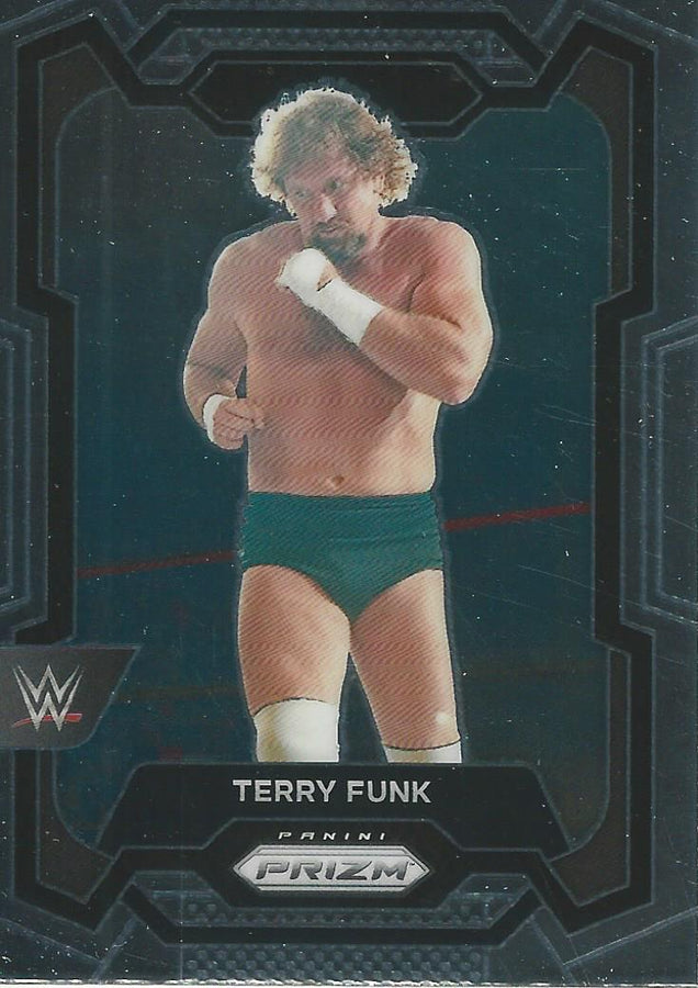 WWE Panini Prizm 2024 Terry Funk #163