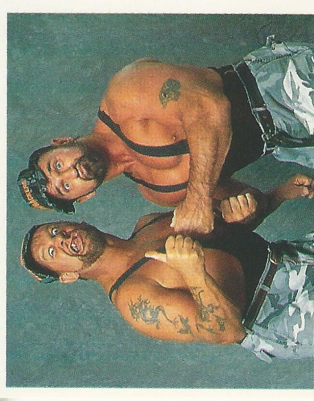 WWF Merlin Stickers 1991 Bushwhackers #163