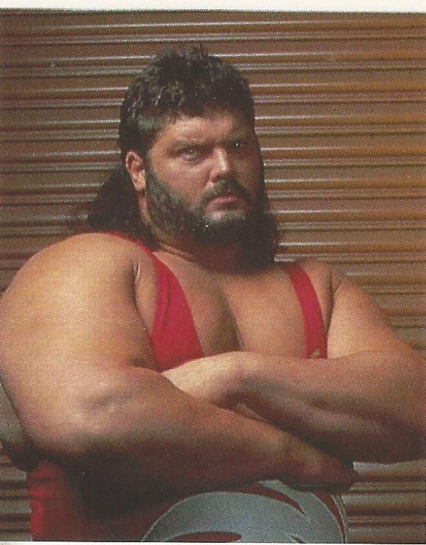 WWF Merlin Stickers 1992 Natural Disasters #163