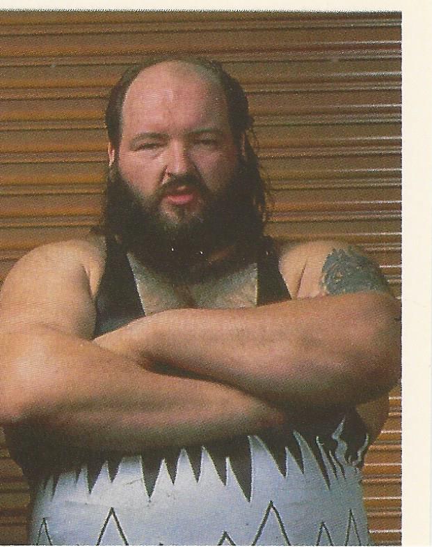 WWF Merlin Stickers 1992 Natural Disasters #164