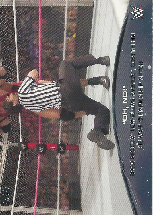 WWE Topps 2015 Brad Maddox 4 of 10 trading card PW Catalog