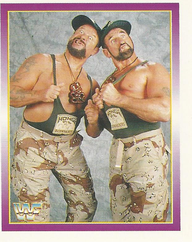 WWF Merlin Stickers 1995 Bushwhackers #164