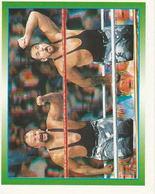WWF Merlin Stickers 1995 Bushwhackers #165