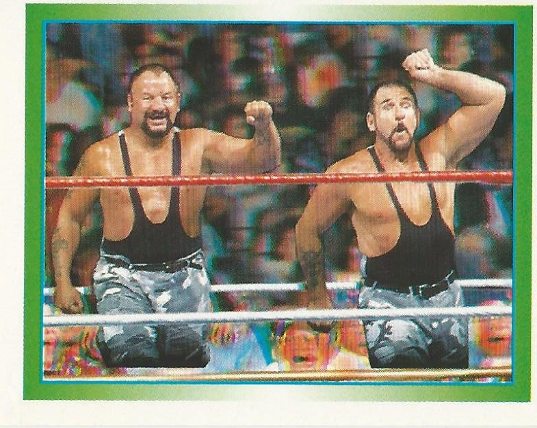 WWF Merlin Stickers 1995 Bushwhackers #165
