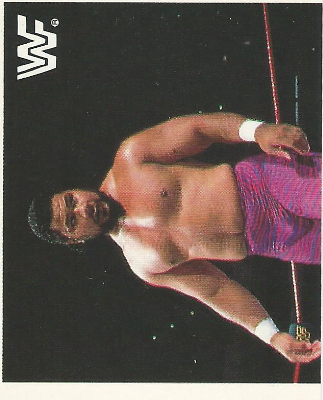 WWF Merlin Sticker Collection 1990 Haku #166