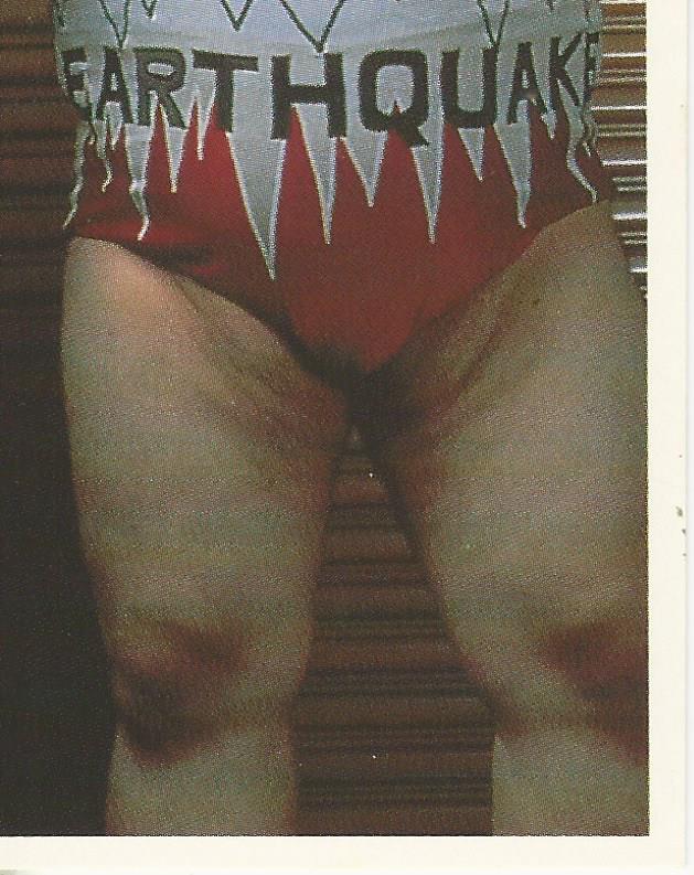 WWF Merlin Stickers 1992 Natural Disasters #166
