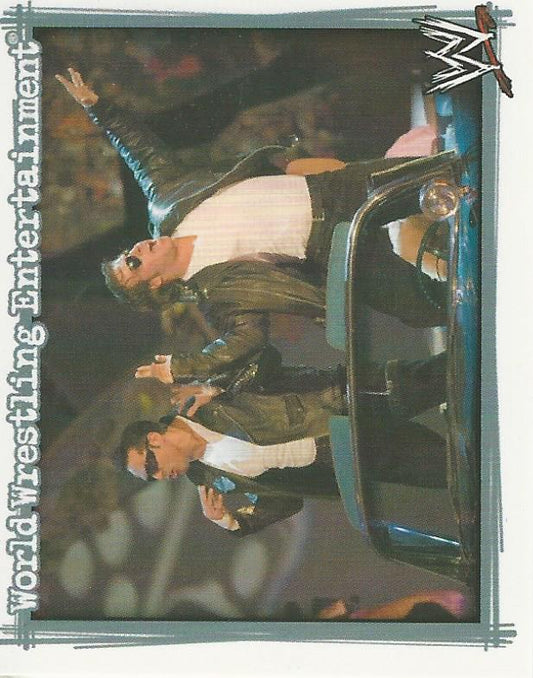 WWE Topps Superstars Uncovered 2007 Sticker Deuce and Domino #166