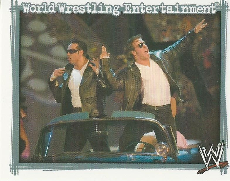 WWE Topps Superstars Uncovered 2007 Sticker Deuce and Domino #166