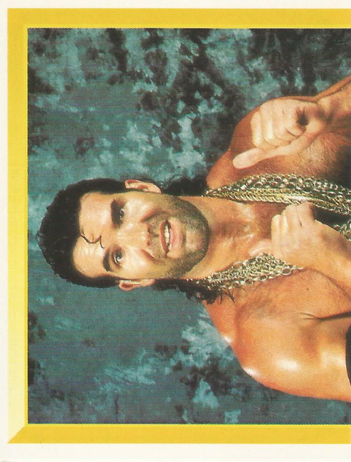WWF Merlin Sticker 1994 Razor Ramon #166