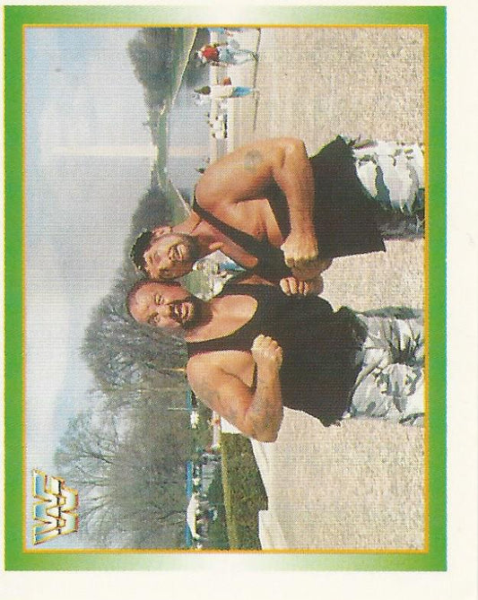 WWF Merlin Stickers 1995 Bushwhackers #166