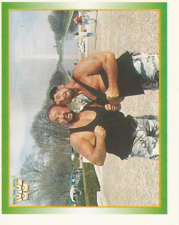 WWF Merlin Stickers 1995 Bushwhackers #166