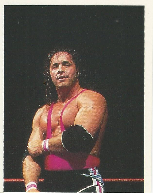 WWF Merlin Stickers 1991 Bret Hart #167