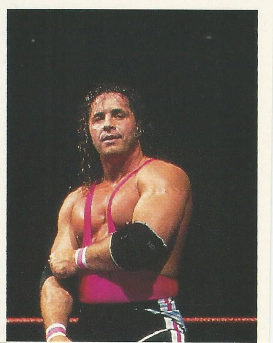 WWF Merlin Stickers 1991 Bret Hart #167