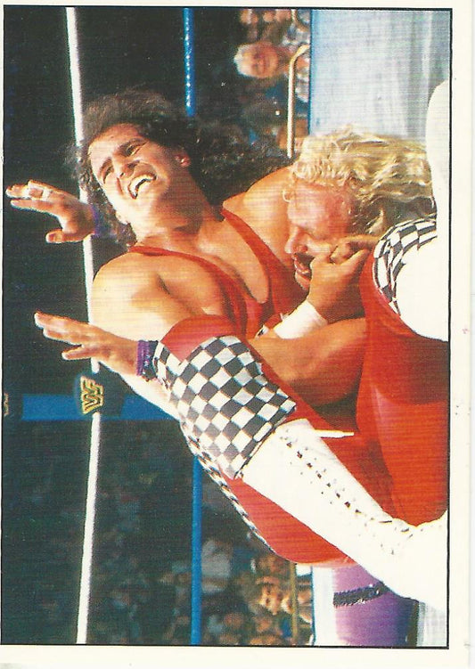 WWF Panini 1995 Sticker Collection Bob Holly #167
