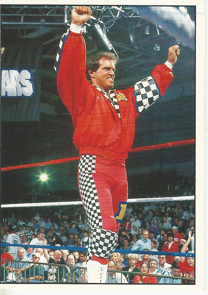 WWF Panini 1995 Sticker Collection Bob Holly #168
