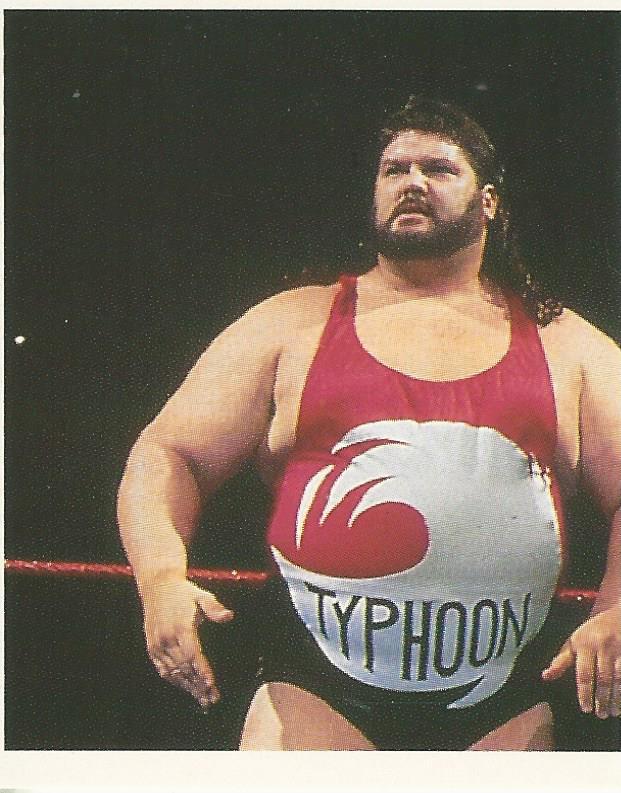 WWF Merlin Stickers 1992 Natural Disasters #168