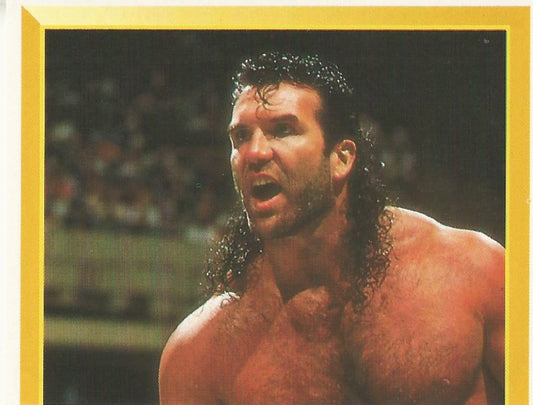 WWF Merlin Sticker 1994 Razor Ramon #168