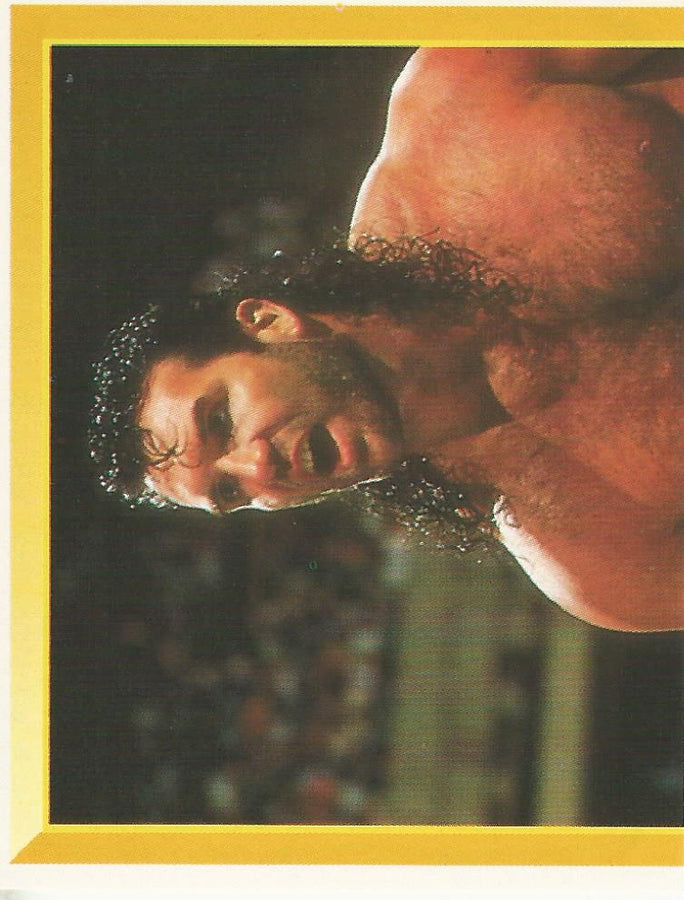 WWF Merlin Sticker 1994 Razor Ramon #168
