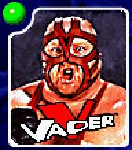 WWF In Your House [DOS] PWcatalog