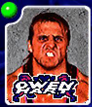 WWF In Your House [DOS] PWcatalog