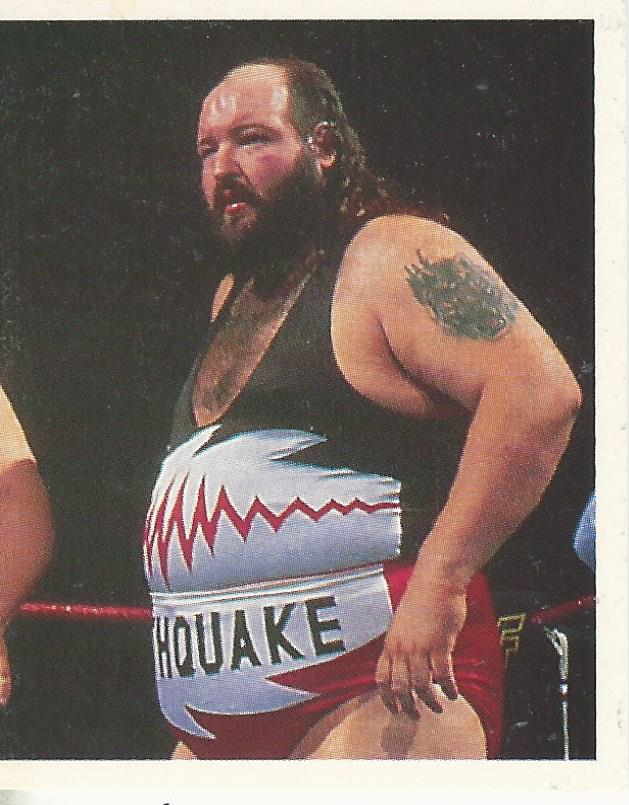 WWF Merlin Stickers 1992 Natural Disasters #169