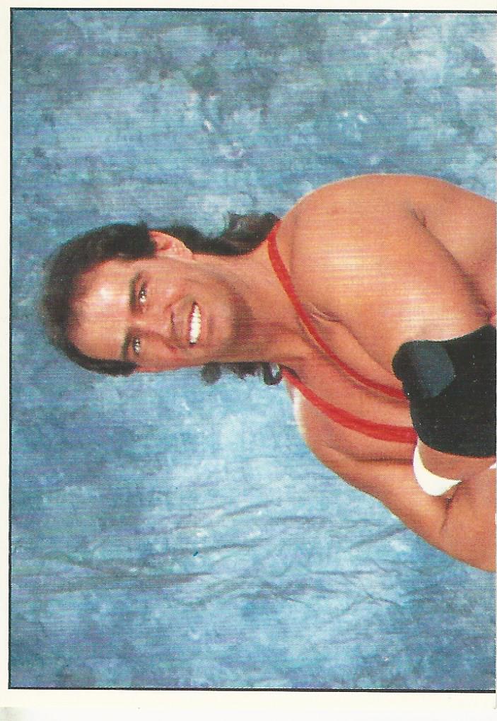 WWF Panini 1995 Sticker Collection Bob Holly #169