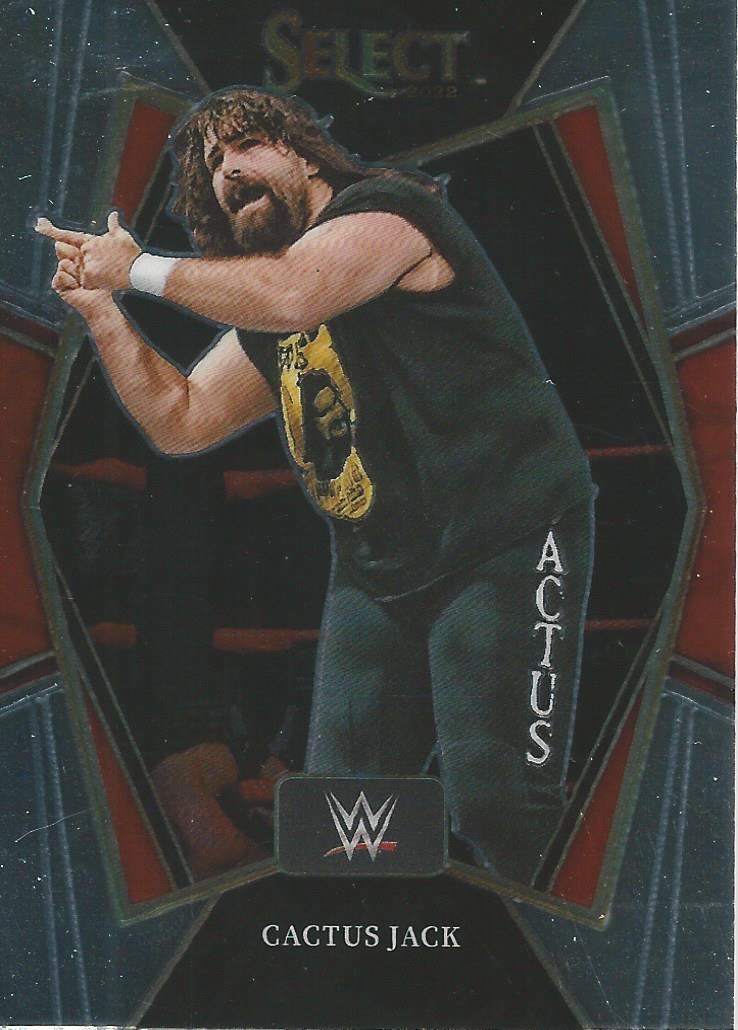 WWE Panini Select 2022 Cactus Jack #169