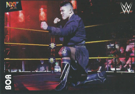 WWE Panini 2022 Sticker Collection BOA #169