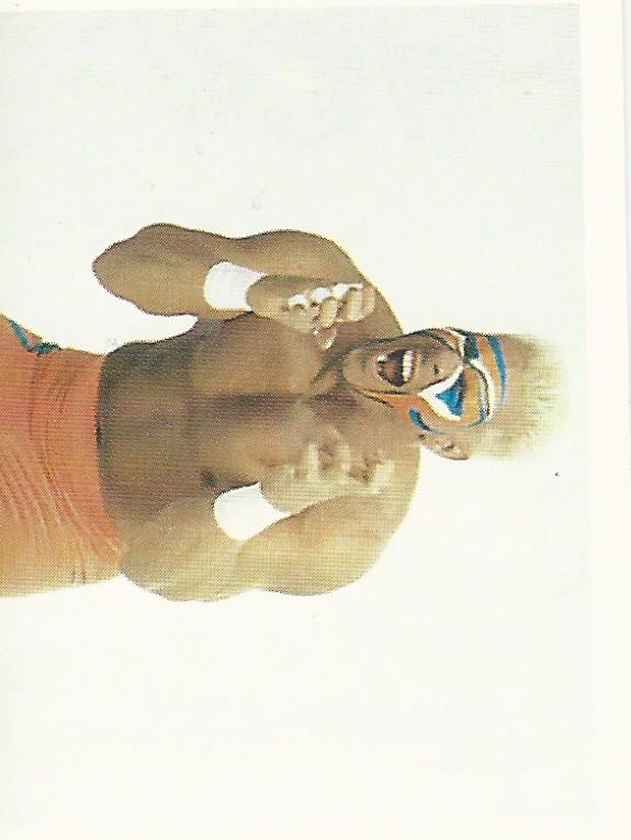 WCW Euroflash 1992 Sticker Sting #16