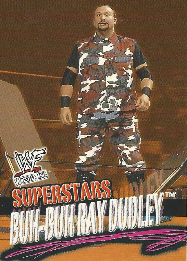 WWF Fleer Wrestlemania 2001 Bubba Ray Dudley #16