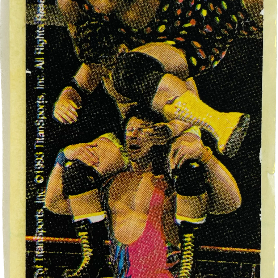 WWF Dunkin Bubble Gum Stickers (1993) No. 16 Steiner Brothers PW Catalog