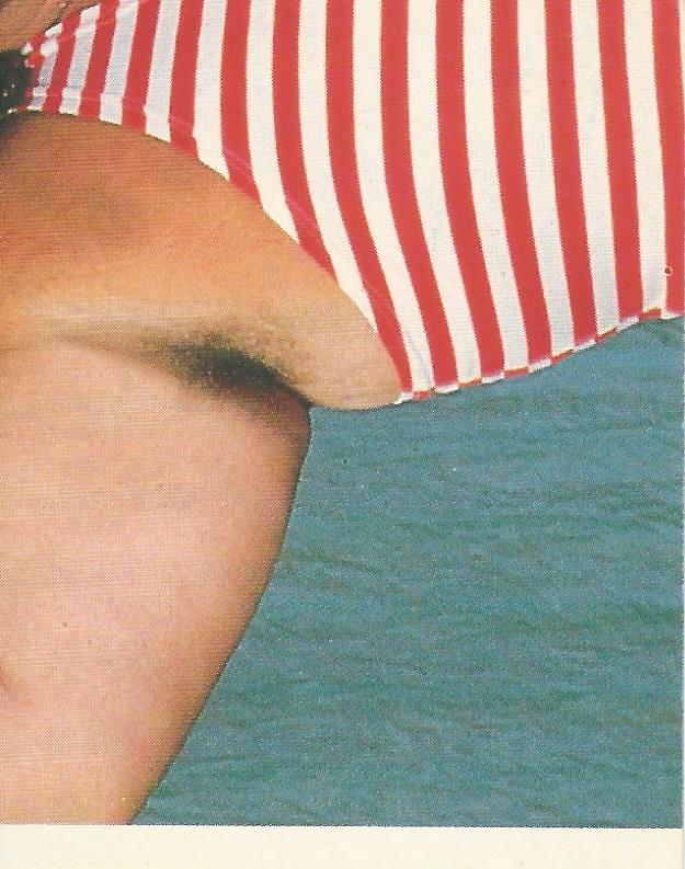 WWF Merlin Sticker Collection 1990 Tugboat #16