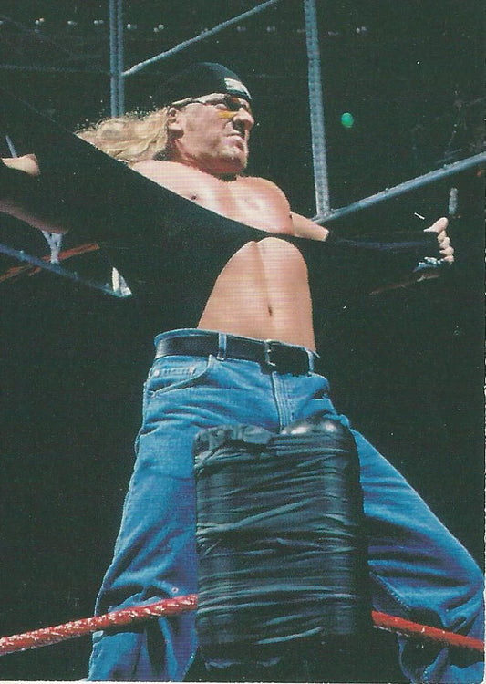 WWF Superstarz 1998 Triple H #16