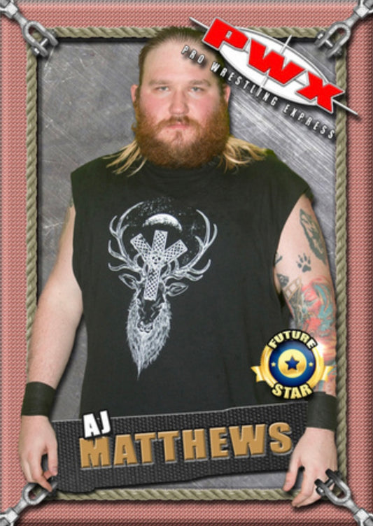 AJ Matthews trading card PW Catalog