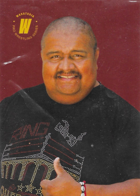 Cesar Navarro trading card PW Catalog