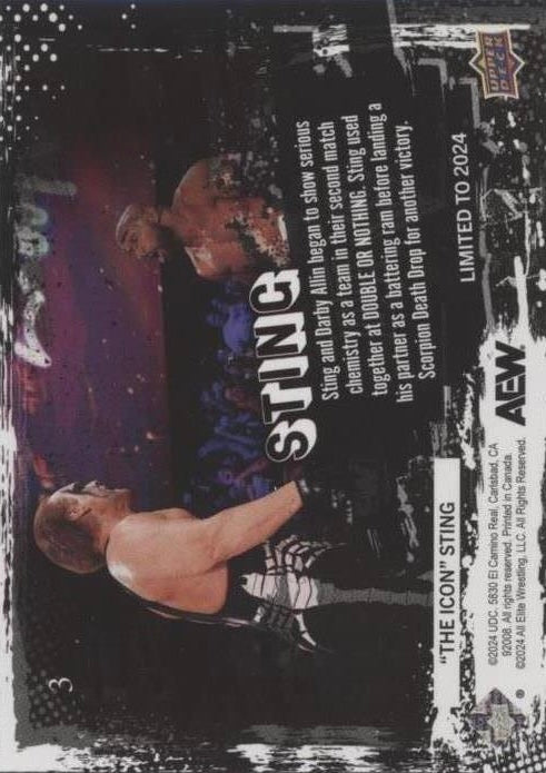 5/30/25 – Sting and Darby Allin Scored Their Second Win AS a Team at Double or Nothing - image 2