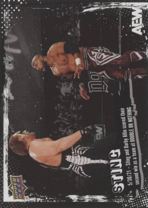 5/30/25 – Sting and Darby Allin Scored Their Second Win AS a Team at Double or Nothing